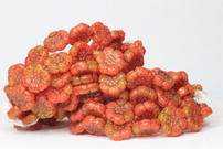 Flowers / shine / old Patina 13x5mm